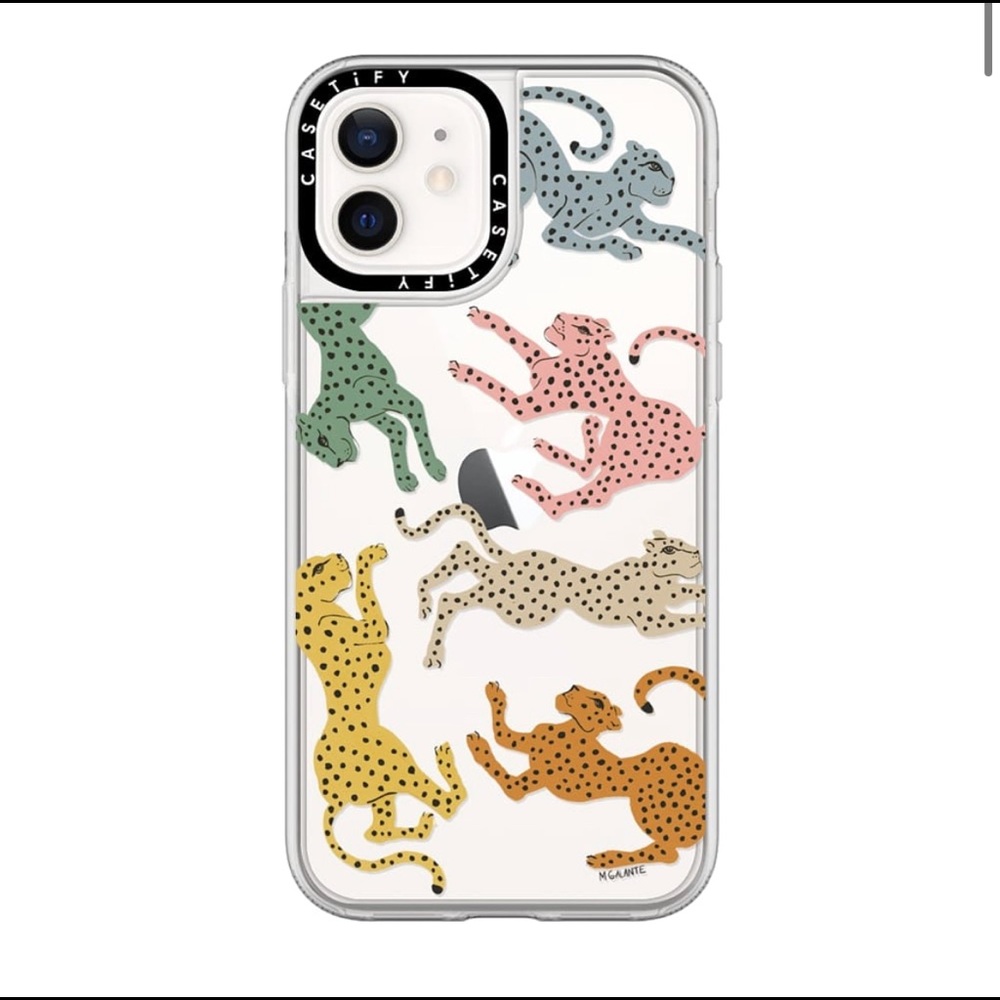 casetify phone case